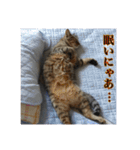 ここあとももよのスタンプ（個別スタンプ：30）