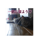 ここあとももよのスタンプ（個別スタンプ：32）