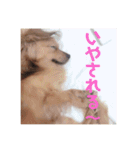 あーやんの日々♡（個別スタンプ：12）