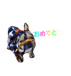 フレンチブルドッグのカイトくん（個別スタンプ：18）