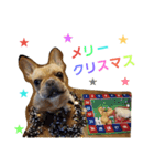 フレンチブルドッグのカイトくん（個別スタンプ：40）