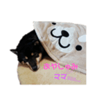 僕、こた 。（個別スタンプ：1）