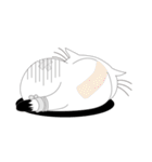 ねことんとん 白猫のリアクション（個別スタンプ：5）