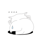 ねことんとん 白猫のリアクション（個別スタンプ：22）