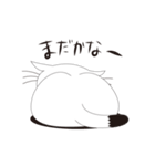 ねことんとん 白猫の日常（個別スタンプ：30）