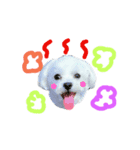 ご機嫌こはるん（個別スタンプ：12）