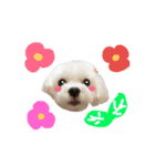 ご機嫌こはるん（個別スタンプ：14）