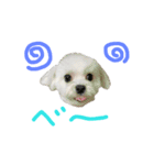 ご機嫌こはるん（個別スタンプ：15）