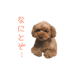 レオナルドⅢ（個別スタンプ：1）