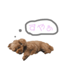 レオナルドⅢ（個別スタンプ：2）