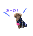 レオナルドⅢ（個別スタンプ：3）
