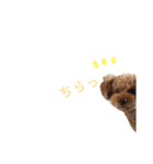レオナルドⅢ（個別スタンプ：7）