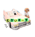 トイプードルここてん（個別スタンプ：1）