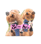 トイプードルここてん（個別スタンプ：18）