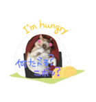 諭吉はん（個別スタンプ：6）