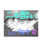 諭吉はん（個別スタンプ：7）