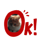 諭吉はん（個別スタンプ：8）