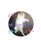 諭吉はん（個別スタンプ：10）