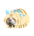 諭吉はん（個別スタンプ：11）