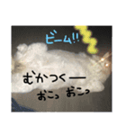 諭吉はん（個別スタンプ：12）