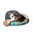 ゆづーマの日常会話（個別スタンプ：2）