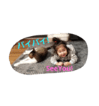 ゆづーマの日常会話（個別スタンプ：24）