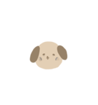 これはいぬ（個別スタンプ：38）