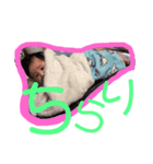 あーくん0さい③（個別スタンプ：5）