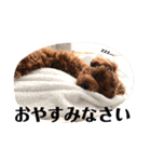 雪でご挨拶させてください（個別スタンプ：4）