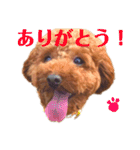 雪でご挨拶させてください（個別スタンプ：6）