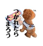 雪でご挨拶させてください（個別スタンプ：17）
