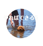 雪でご挨拶させてください（個別スタンプ：32）