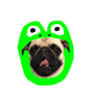 ！パグ モグ スタンプ！PUG（個別スタンプ：18）