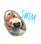 ！パグ モグ スタンプ！PUG（個別スタンプ：26）