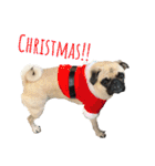 ！パグ モグ スタンプ！PUG（個別スタンプ：28）