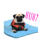 ！パグ モグ スタンプ！PUG（個別スタンプ：29）