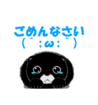 くろポメくん（個別スタンプ：5）