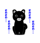 くろポメくん（個別スタンプ：13）
