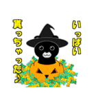 くろポメくん（個別スタンプ：38）