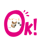 柴犬さばくんの日常で使えるスタンプ2。（個別スタンプ：5）