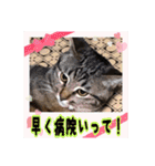 金澤さんちのさくらとひめ2（個別スタンプ：3）