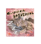 金澤さんちのさくらとひめ2（個別スタンプ：4）