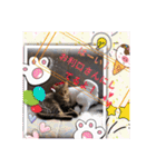 金澤さんちのさくらとひめ2（個別スタンプ：7）