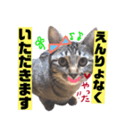 金澤さんちのさくらとひめ2（個別スタンプ：9）
