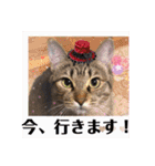 金澤さんちのさくらとひめ2（個別スタンプ：20）