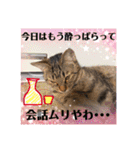 金澤さんちのさくらとひめ2（個別スタンプ：22）