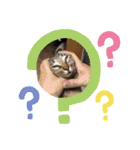 金澤さんちのさくらとひめ2（個別スタンプ：25）