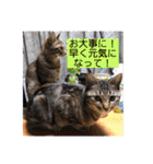 金澤さんちのさくらとひめ2（個別スタンプ：26）