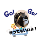 金澤さんちのさくらとひめ2（個別スタンプ：29）
