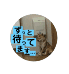 さくら2019.1.16（個別スタンプ：10）